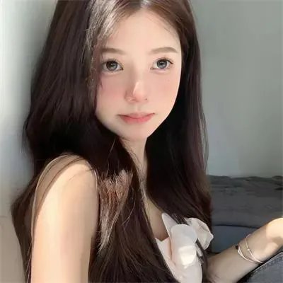 都柏林动物